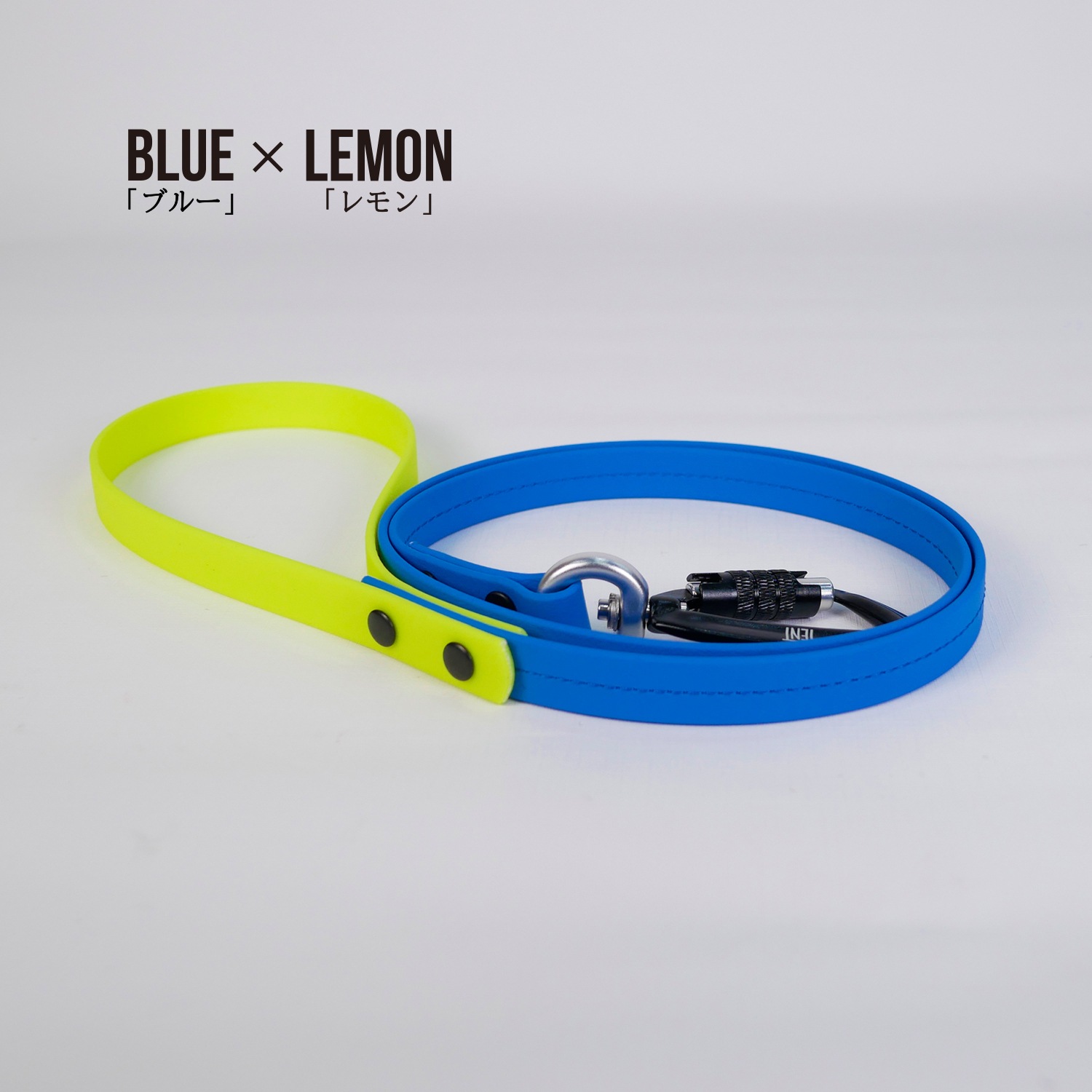 FW LEASHESBLUE/֥롼