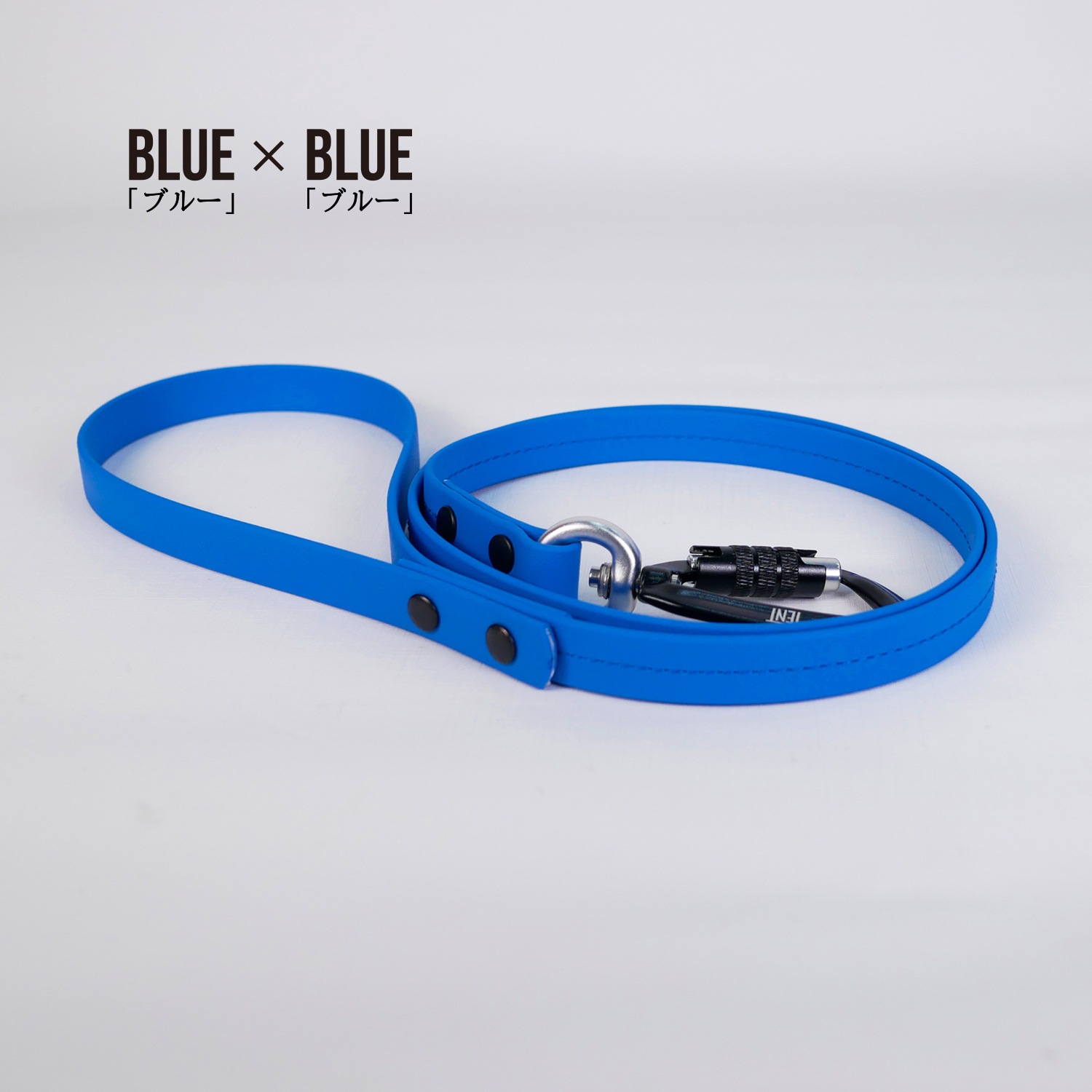 FW LEASHESBLUE/֥롼