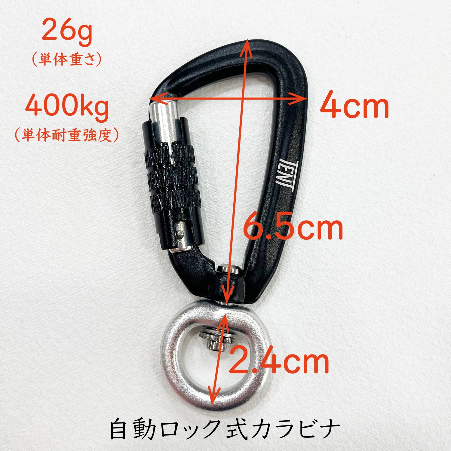 FW LEASHESBLUE/֥롼