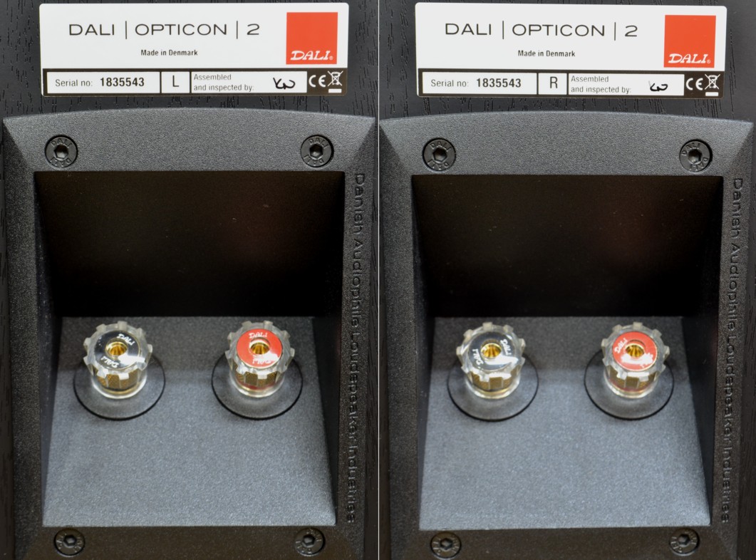 Ÿ���ʡ�DALI  OPTICON2(�֥�å�)(��Ȣ����)