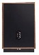 TANNOY  ARDEN(�ڥ�)(�쥬�������꡼��)(2017ǯ9��15������ȯ��)