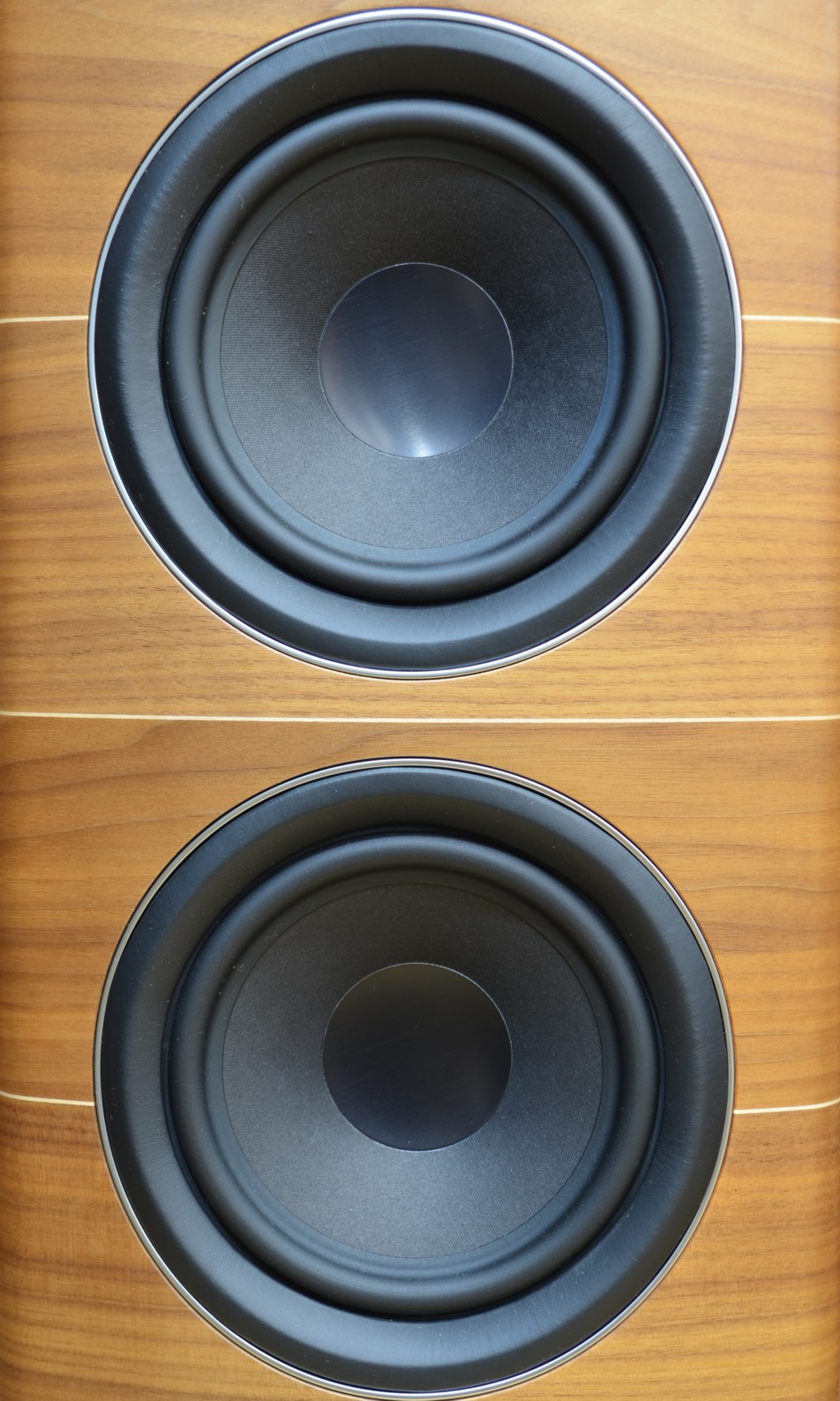 ����ʡ�Sonus faber  Olympica Nova�� (��Ȣ�ʤ�)