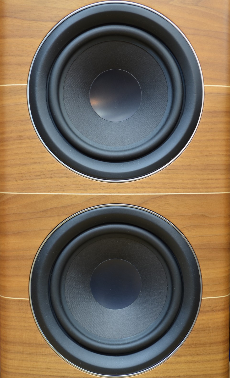 ����ʡ�Sonus faber  Olympica Nova�� (��Ȣ�ʤ�)