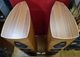����ʡ�Sonus faber  Olympica Nova�� (��Ȣ�ʤ�)