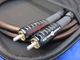 �����ò���WIREWORLD ECI7RCA/1.0 (��Ȣ����)