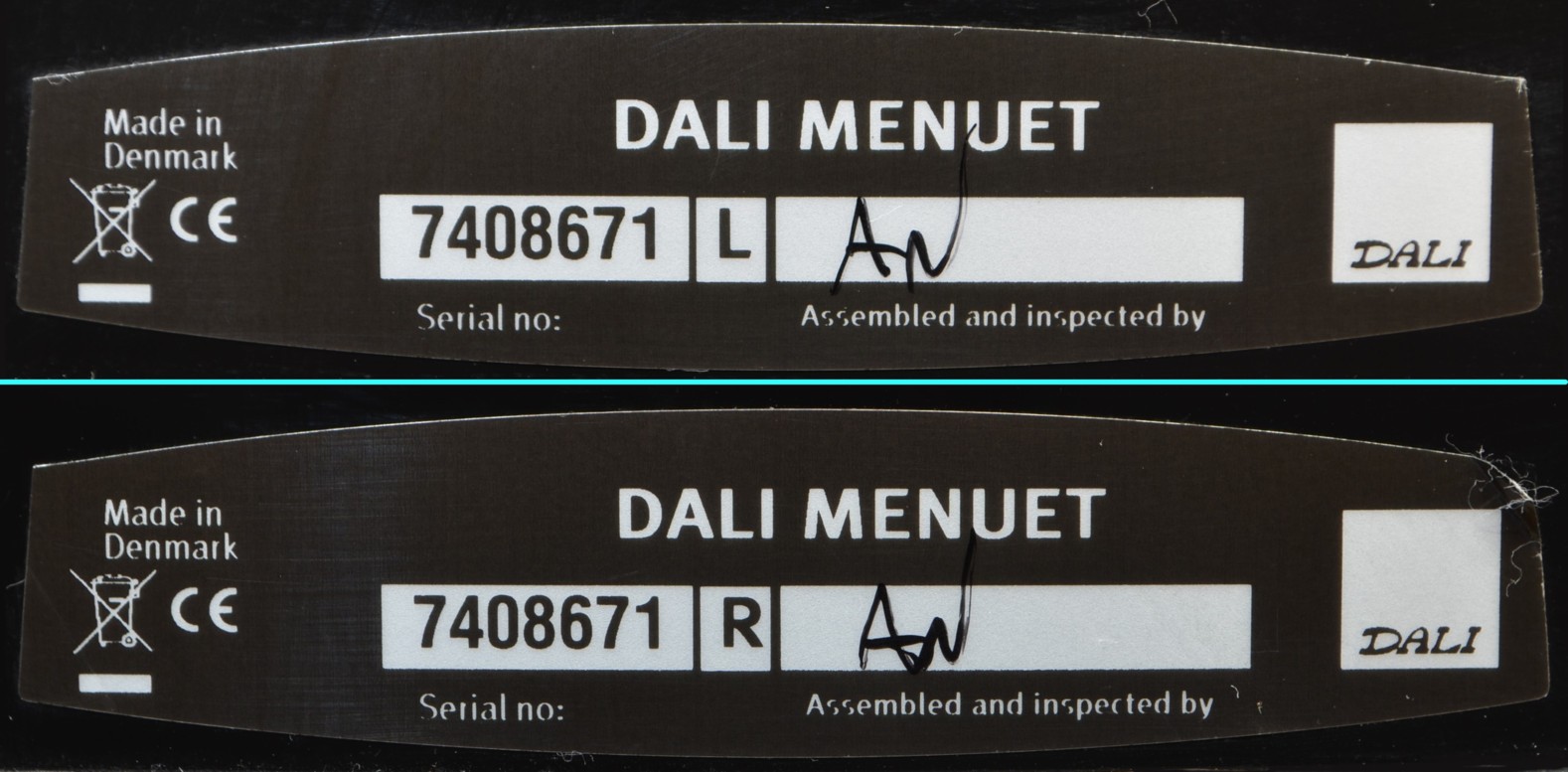 Ÿ���ʡ�DALI MENUET(B;�֥�å�)(��Ȣ����)