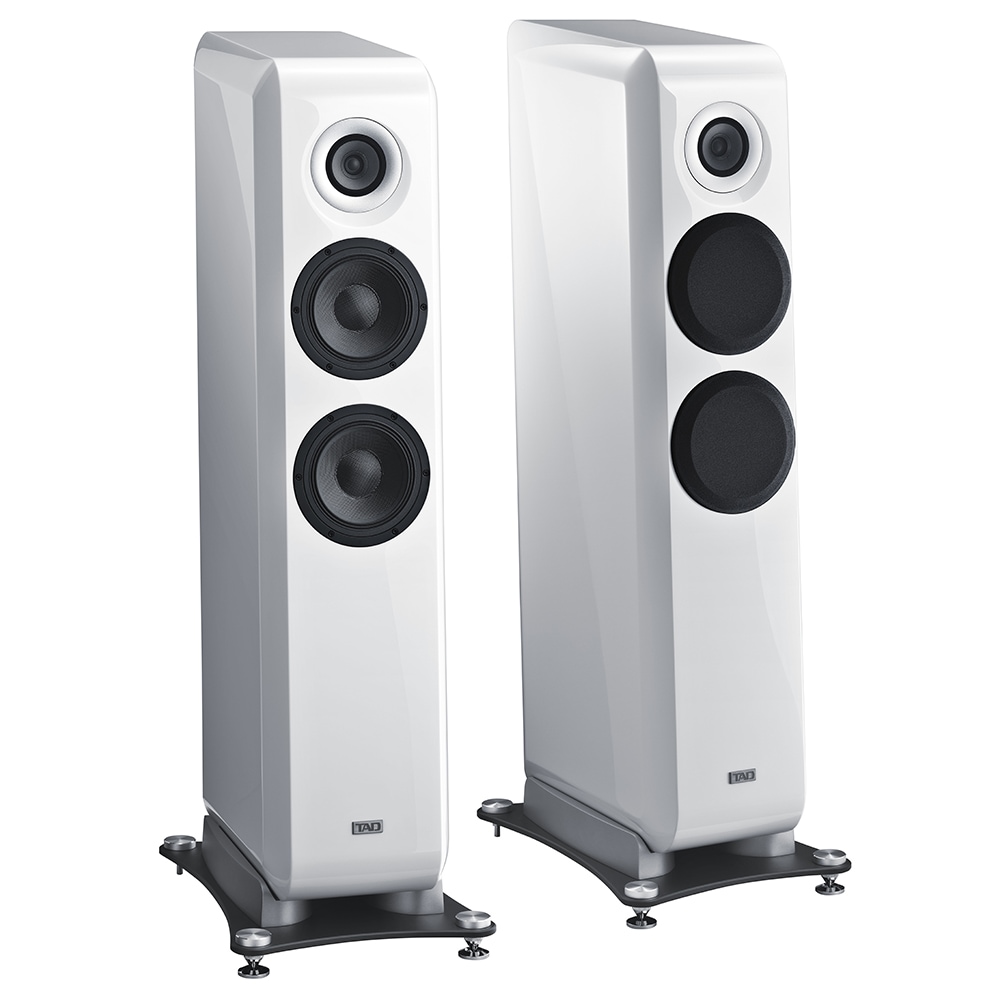 TAD TAD-E1AX-GW (2025ǯ12����ܿ�ȯ��ˢ���ͽ�������Ǥ�����