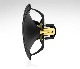 TANNOY   Canterbury/GR(�ڥ�)