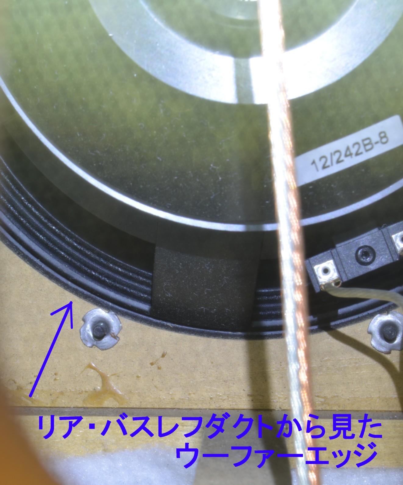 ����ʡ�ZINGALI  Twenty 1.12(��Ȣ�ʤ�)