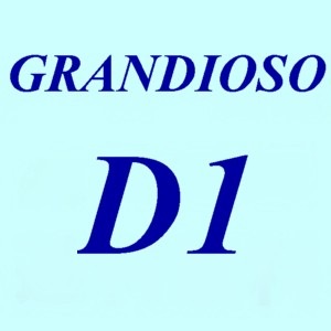 Ÿ���ʡ�ESOTERIC  Grandioso P1+Grandioso D1(��Ȣ����)(���å�����)(�����Ѥ�)