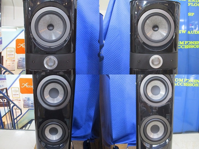 Ÿ���ʡ�FOCAL Sopra NO2(SO) (��Ȣ����)