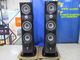 Ÿ���ʡ�FOCAL Sopra NO2(SO) (��Ȣ����)