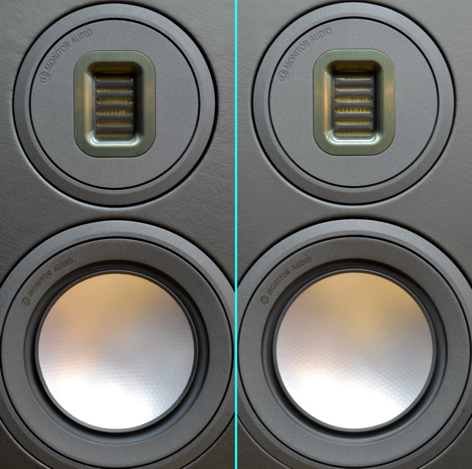 Ÿ���ʡ�Monitor Audio PL100��(�ԥ��Υ֥�å�)(PL100��STANDS��)(��Ȣ����)