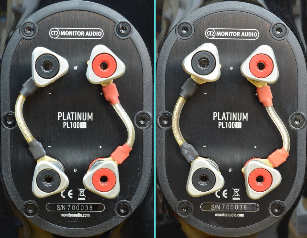 Ÿ���ʡ�Monitor Audio PL100��(�ԥ��Υ֥�å�)(PL100��STANDS��)(��Ȣ����)