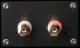 YAMAHA   NS-5000(�ڥ�)(2016ǯ7��ܡ���ȯ��)