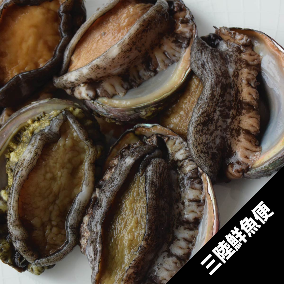三陸天然あわび（約150g）1個 | すべての商品 | 東北うまいもの市場