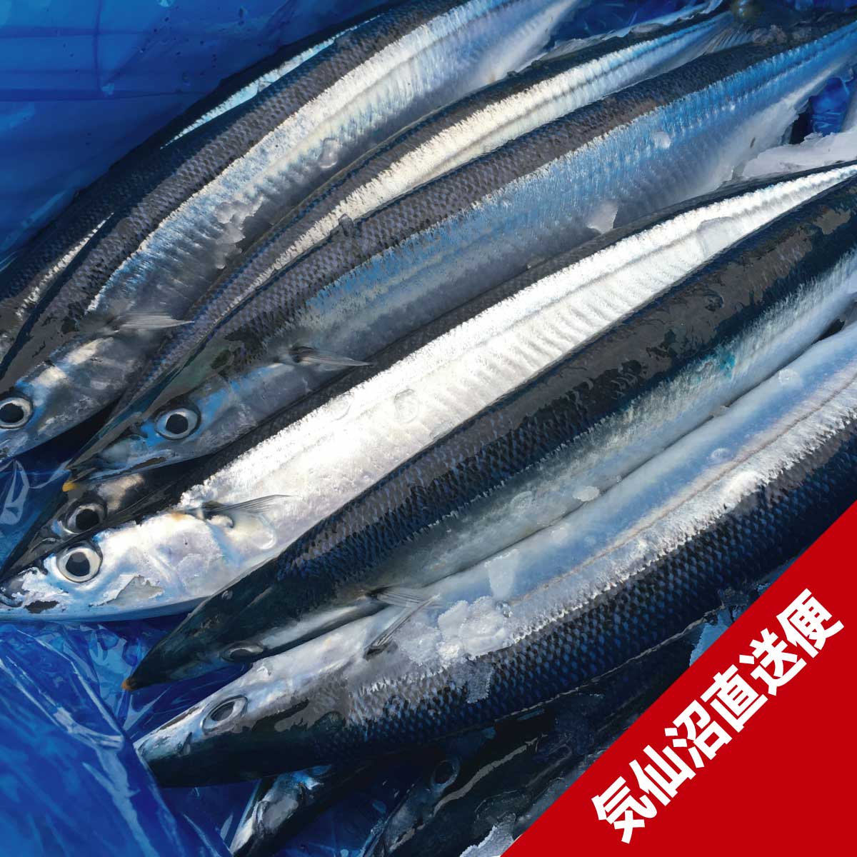 極上三陸気仙沼生さんま120g以上/10尾 | さんま | 東北うまいもの市場