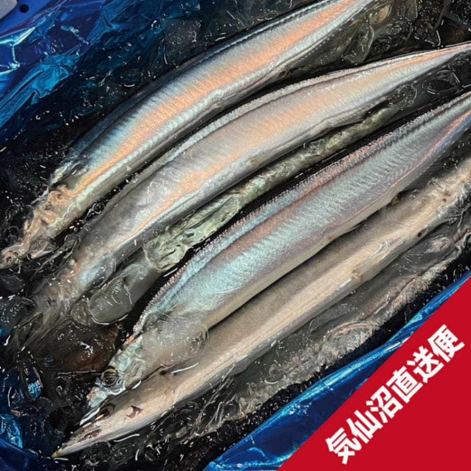 奇跡の三陸超特大さんま160g以上/10尾 | さんま | 東北うまいもの市場