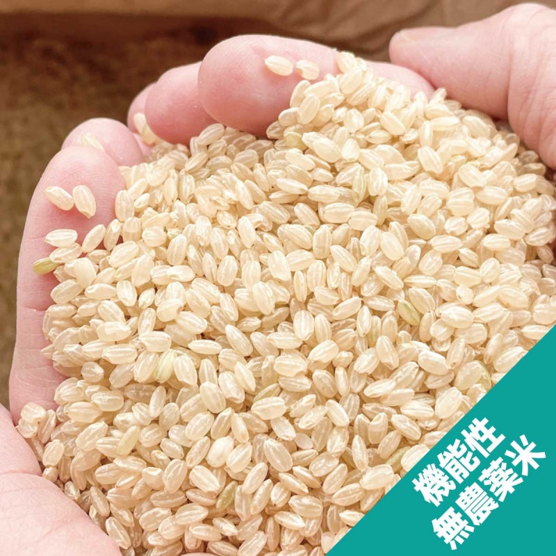 ひとめぼれ米 ひとめぼれ 米 お米 玄米5kg 令和6年産 山形産 白米・無洗米・分