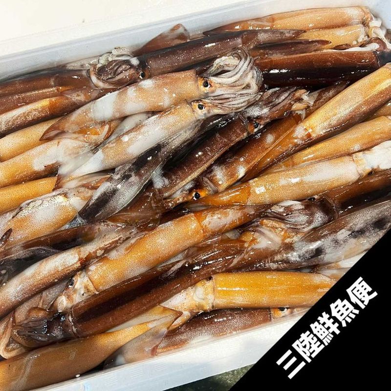 ��Φ����ᥤ���ʥХ饤���ˡڥ��ޥ���������