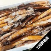 三陸スルメイカ（バライカ）【メルマガ会員限定】