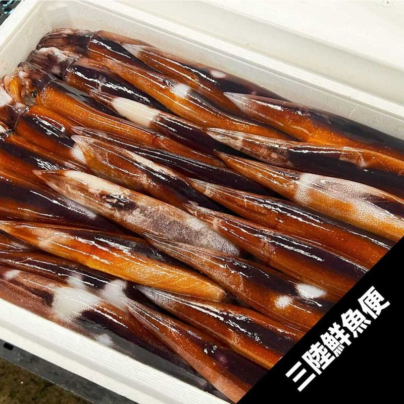 ��Φ����ᥤ��25���ڥ��ޥ���������