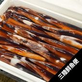 三陸スルメイカ25尾【メルマガ会員限定】
