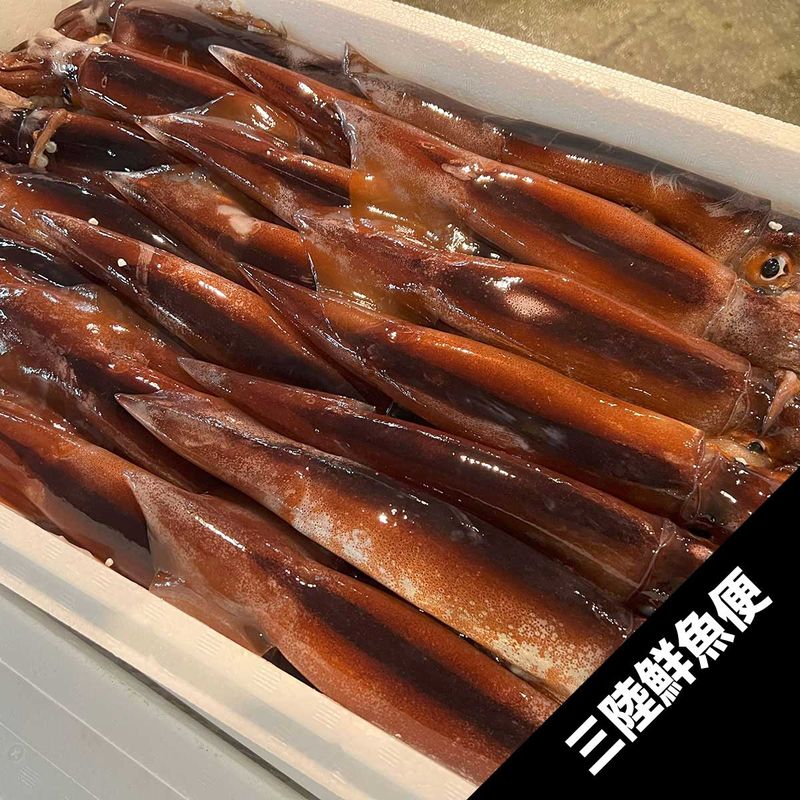 ��Φ����ᥤ��20���ڥ��ޥ���������