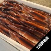 三陸スルメイカ20尾【メルマガ会員限定】