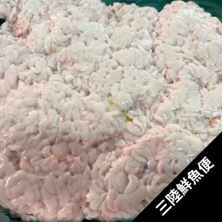 �ڥ����ॻ����ۻ�Φ��í�� 2�áʿ�í����ҡ�