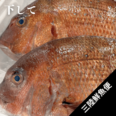 �襸�῿���1.5kg����۲�����