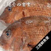 �襸�῿���1.5kg�����1�����Τޤ�