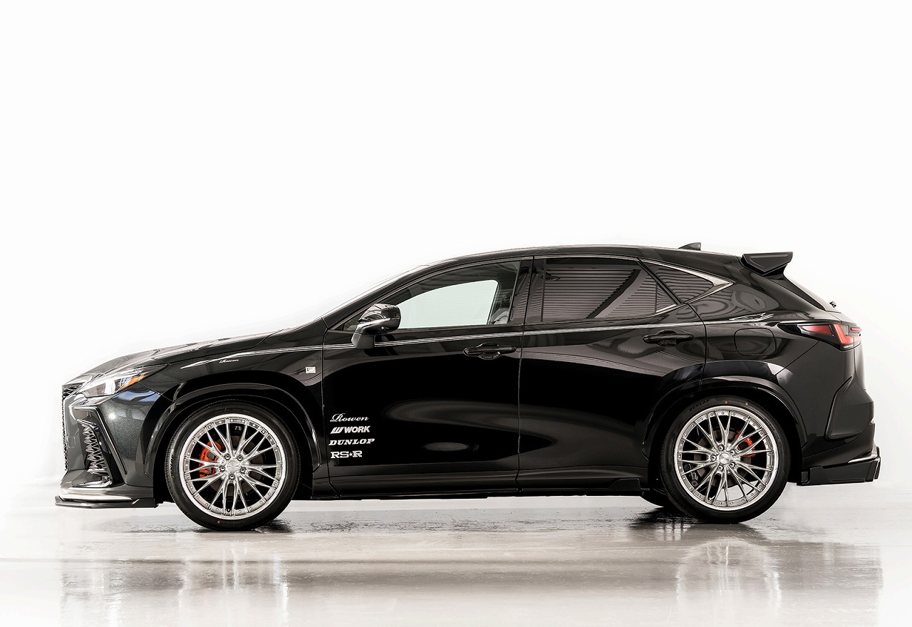 サイドステップ NX350h　 F SPORT *FRP 