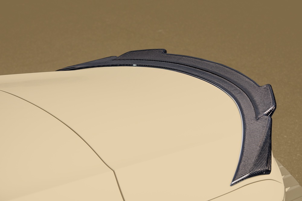 トランクスポイラー LC500 Convertible *FRP