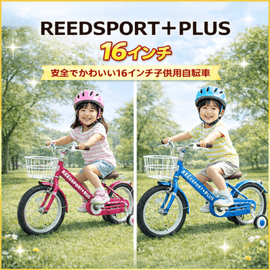 ��ľ���ò��� �Ҷ���ž�� 16����� �֥롼 ��å� ����� ������ �Х�� ���ձ� �ݰ�� ������ �ˤλ� ���λ� 4�� 5�� 6�� ��ž�� �꡼���ݡ��ȥץ饹 ��������Ω 