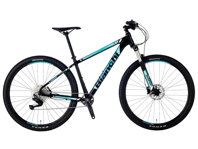 特別特価在庫限定 マウンテンバイク ビアンキ BIANCHI MAGMA 9.1 38cm