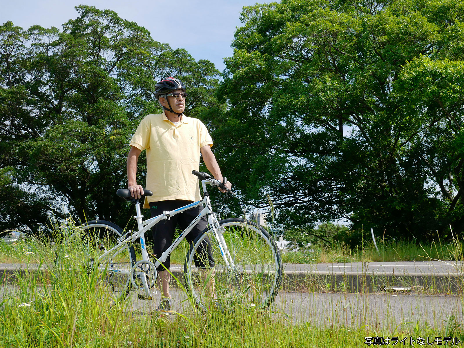 700��28C �������Х��� �ޤꤿ���߼�ž�� �٥롼�� ���ޥ�6����® ��������Ω