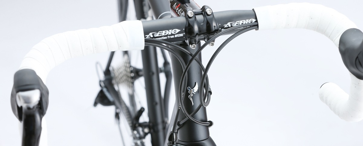 AVEDIOBACCHUS SL BLACKߥե졼ࡡܥեå