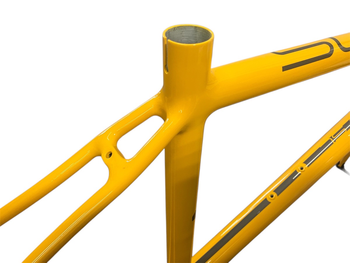 AVEDIO��BACCHUS SL YELLOW������ߥե졼�ࡡ�����ܥ�ե��������å� �����ɥХ��� �������� �����ܥ�ե���ȥե����� �����ܥ󥭥顼 