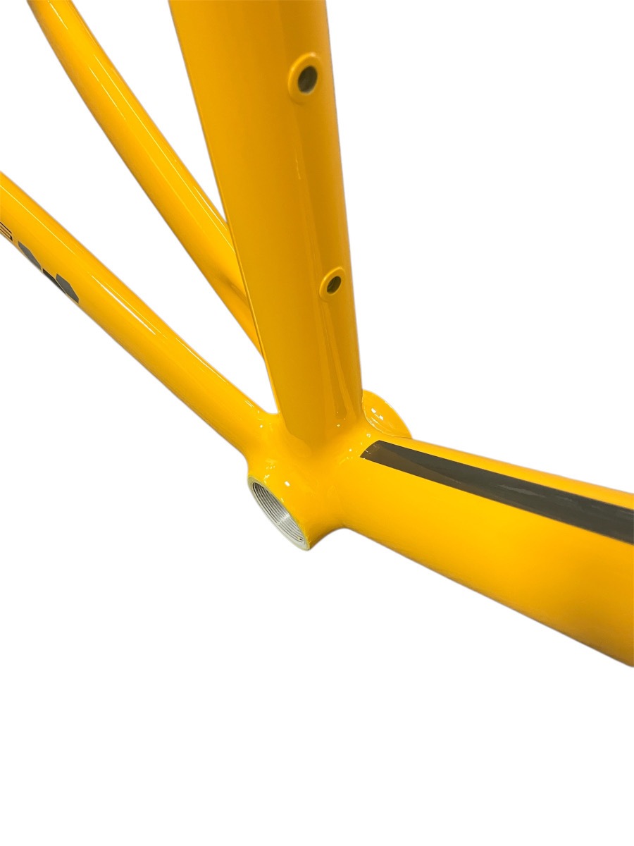 AVEDIO��BACCHUS SL YELLOW������ߥե졼�ࡡ�����ܥ�ե��������å� �����ɥХ��� �������� �����ܥ�ե���ȥե����� �����ܥ󥭥顼 