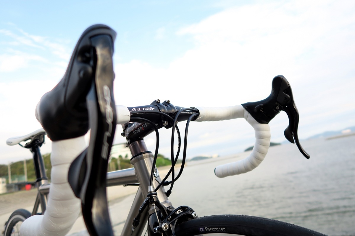 AVEDIO��PEGASUS Campagnolo CHORUS��TITANIUM FRAME / CARBON RIBFORK