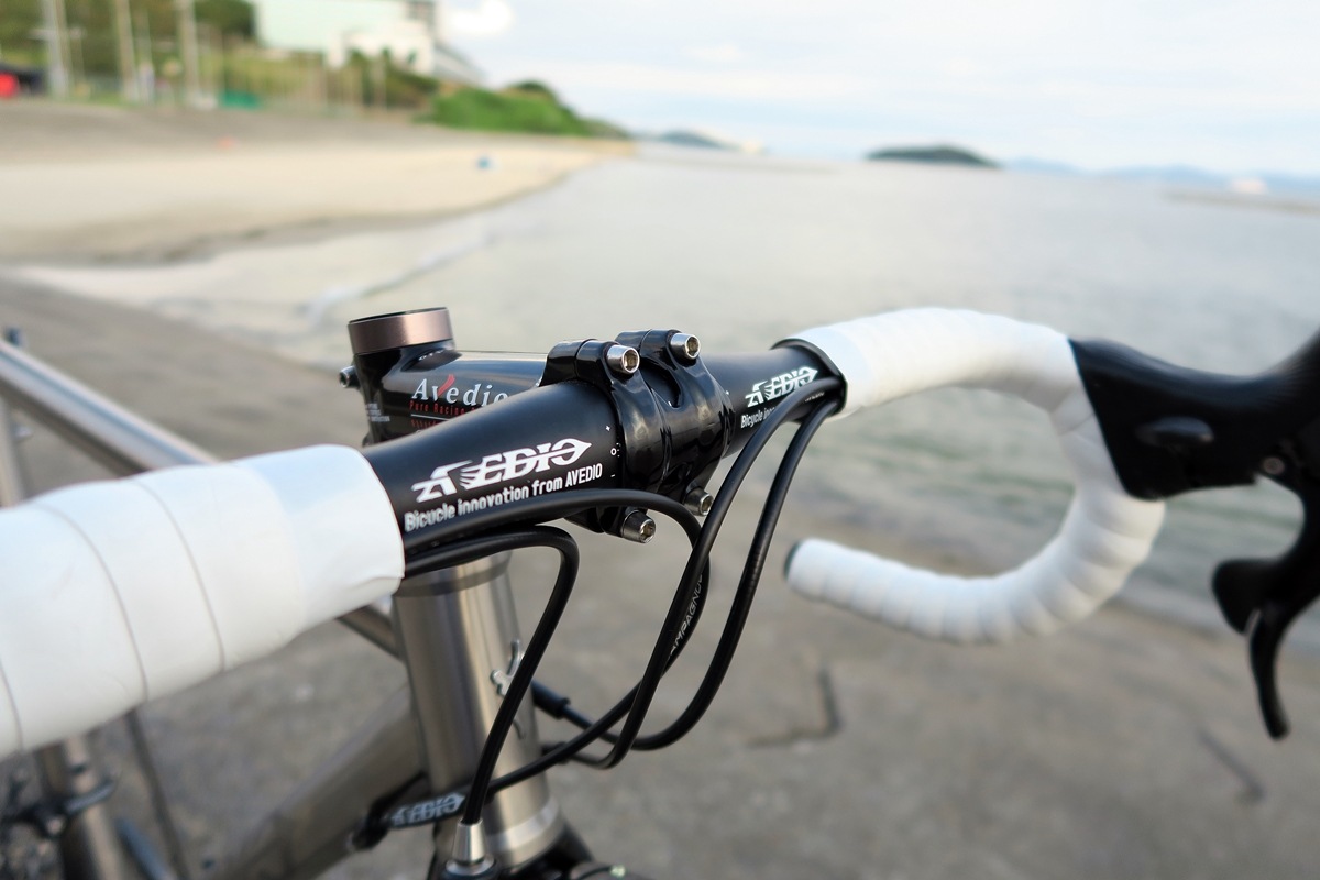 AVEDIO��PEGASUS Campagnolo CHORUS��TITANIUM FRAME / CARBON RIBFORK