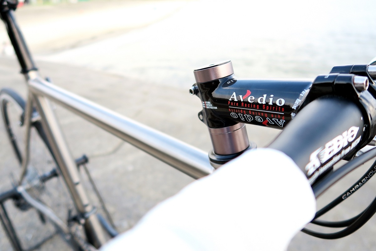 AVEDIO��PEGASUS Campagnolo CHORUS��TITANIUM FRAME / CARBON RIBFORK