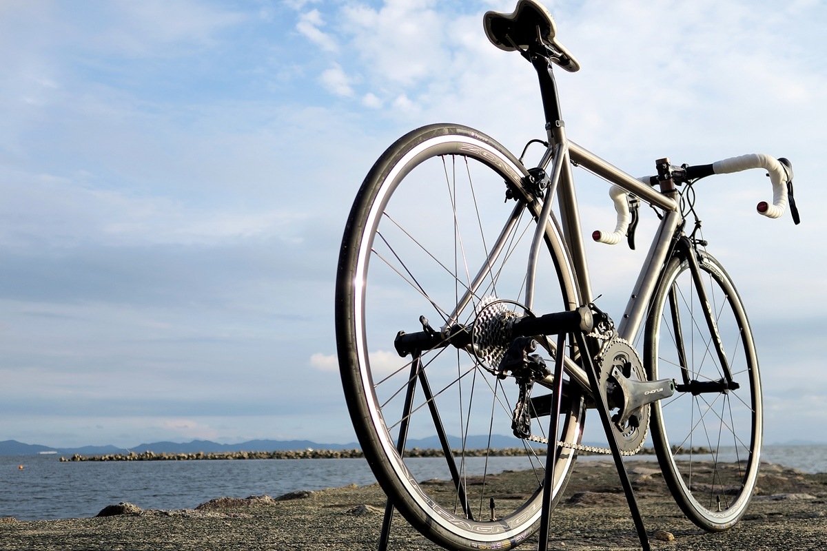 AVEDIO��PEGASUS Campagnolo CHORUS��TITANIUM FRAME / CARBON RIBFORK