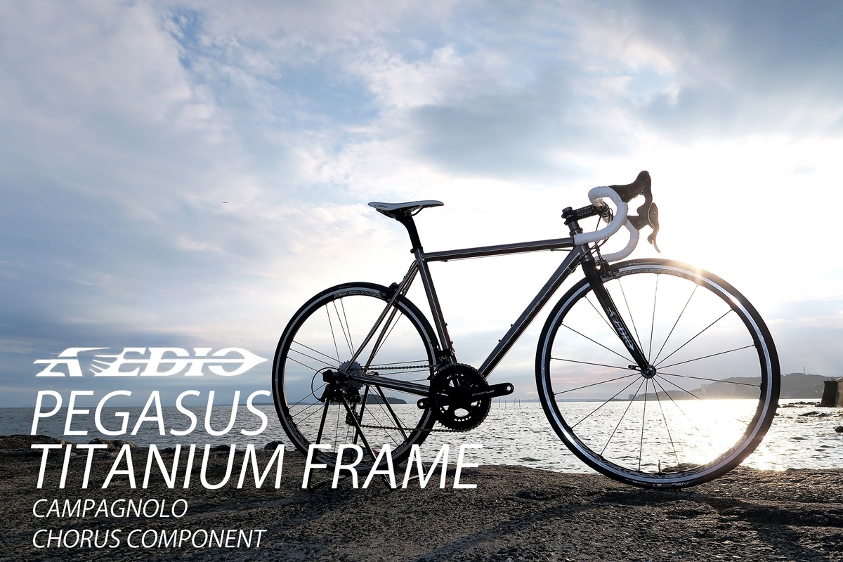 AVEDIO��PEGASUS Campagnolo CHORUS��TITANIUM FRAME / CARBON RIBFORK