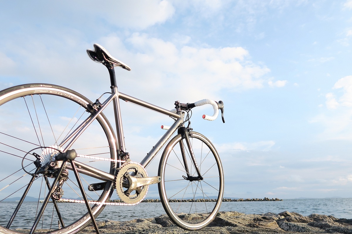 AVEDIO��PEGASUS Campagnolo CHORUS��TITANIUM FRAME / CARBON RIBFORK