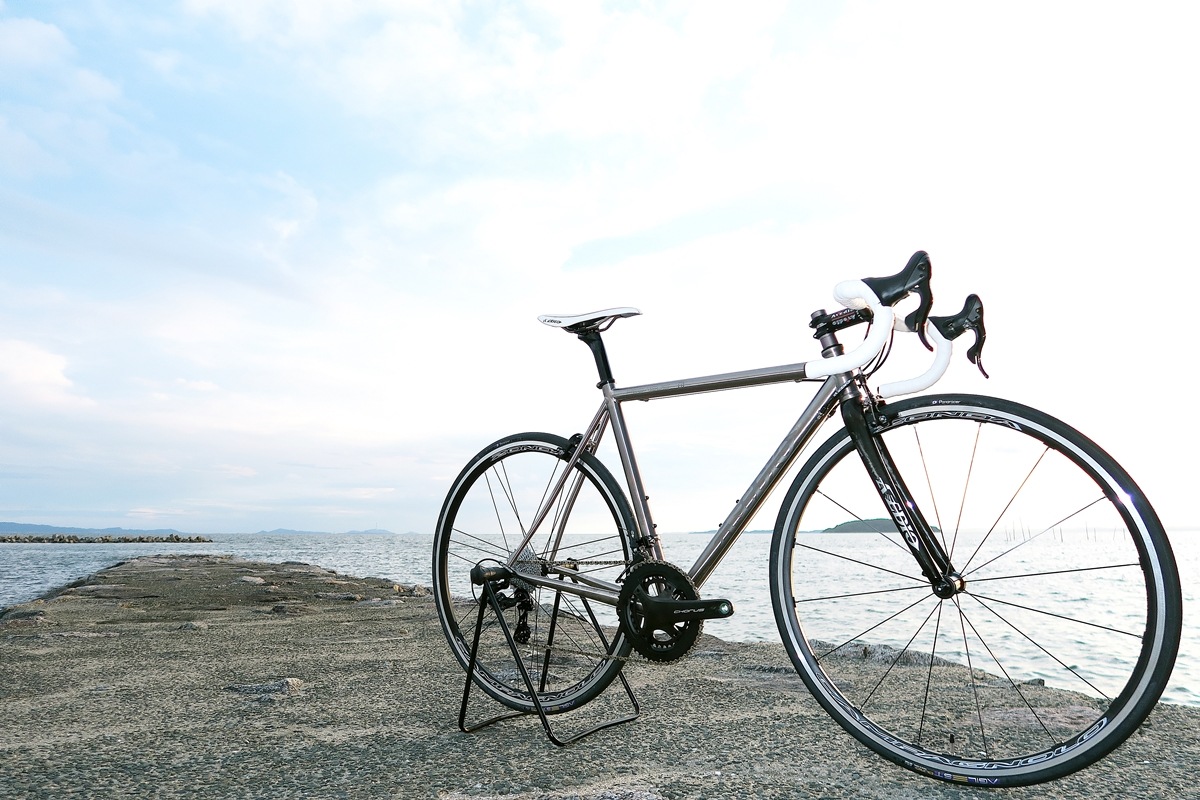 AVEDIO��PEGASUS Campagnolo CHORUS��TITANIUM FRAME / CARBON RIBFORK