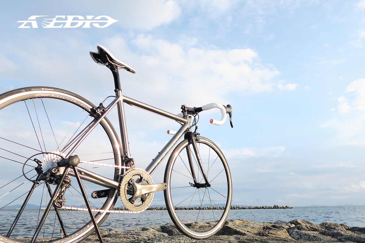 AVEDIO��PEGASUS Campagnolo CHORUS��TITANIUM FRAME / CARBON RIBFORK