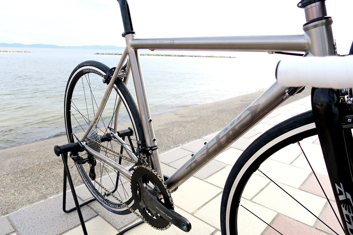 AVEDIO��PEGASUS Campagnolo CHORUS��TITANIUM FRAME / CARBON RIBFORK