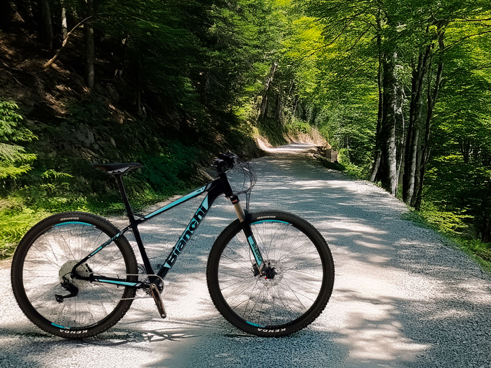 �����ò��߸˸��� �ޥ���ƥ�Х��� �ӥ��� BIANCHI MAGMA 9.1 38cm�ʿ�Ĺ160-170cm�� �����ꥢ�֥��� ���ޥ� SHIMANO DEORE ����ݡ��ͥ�� �����ڥ󥷥�� �̶��̳� �� ���ե����� 